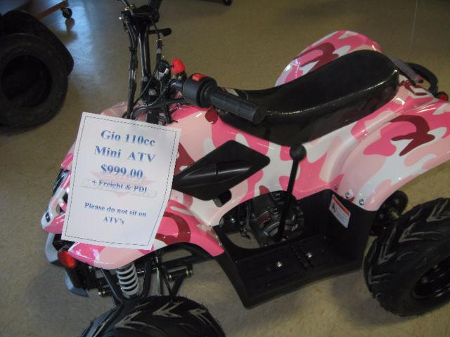 110 Pink ATV