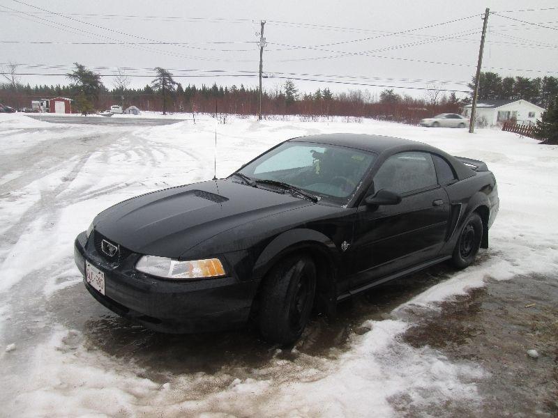 1999 ford mustang 35e anniversary v-6 --5speed stander 600$