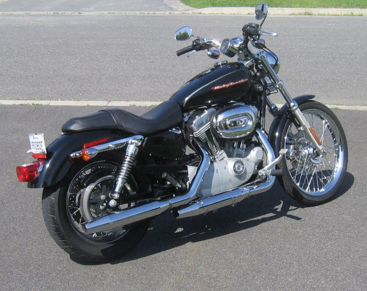 2006 Harley Davidson Sportster 883 custom