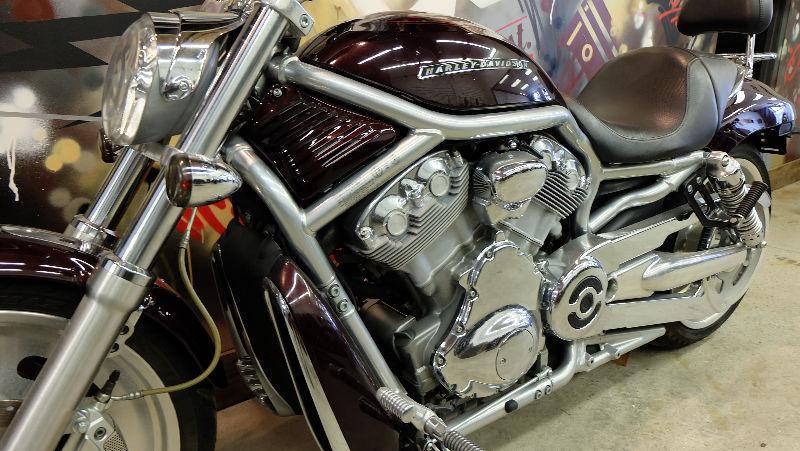 2007 Harley V-rod. Everyones approved. Only $189.00 per month
