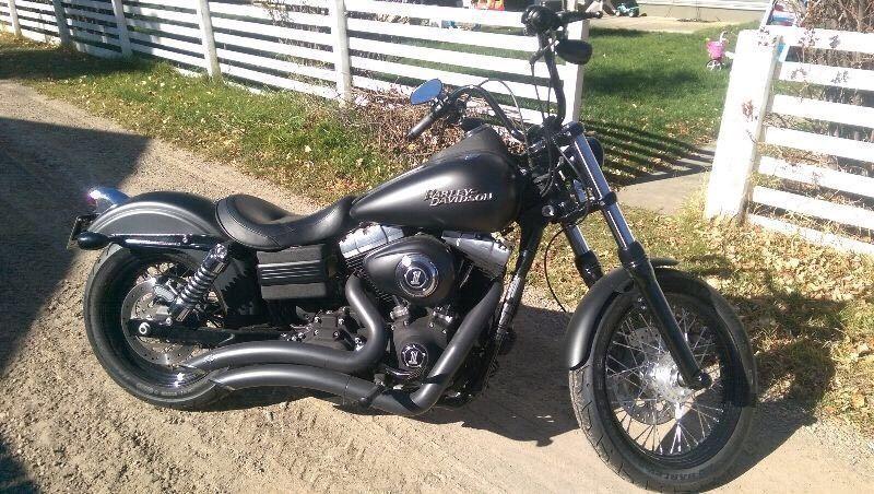 2010 Harley Davidson Street Bob. Mint! Low Kms
