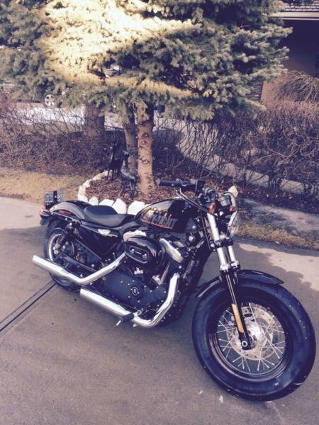 HARLEY DAVIDSON 48 (FORTY EIGHT) 1200cc LOW KM's MINT CONDITION