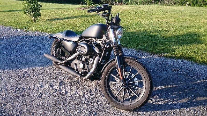 *REDUCED* Harley Sportster Iron