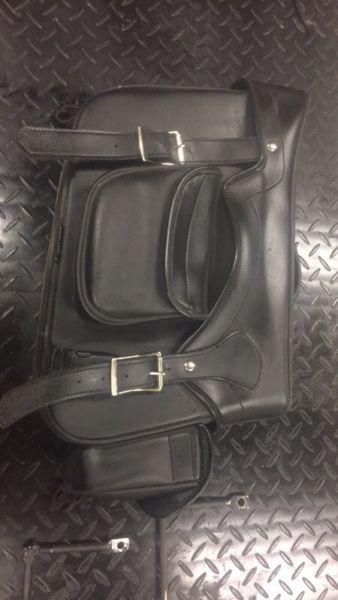 Saddle Bags and adjustable mounts