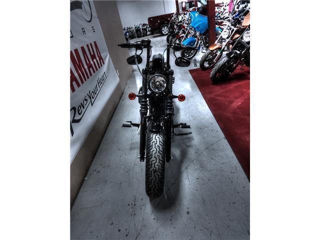 2013 Harley Davidson XL1200 - V1919 - **No payments until 2017**