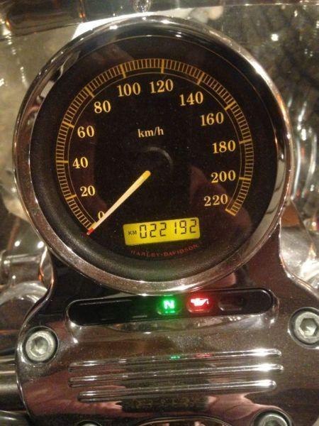 Harley 1200 xl low