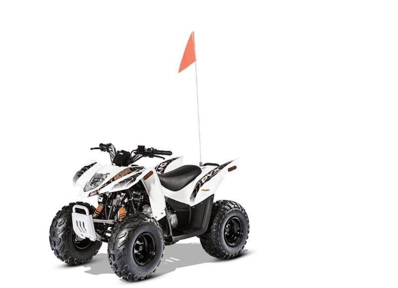 2016 Arctic Cat DVX 90 Négocier votre propre transaction