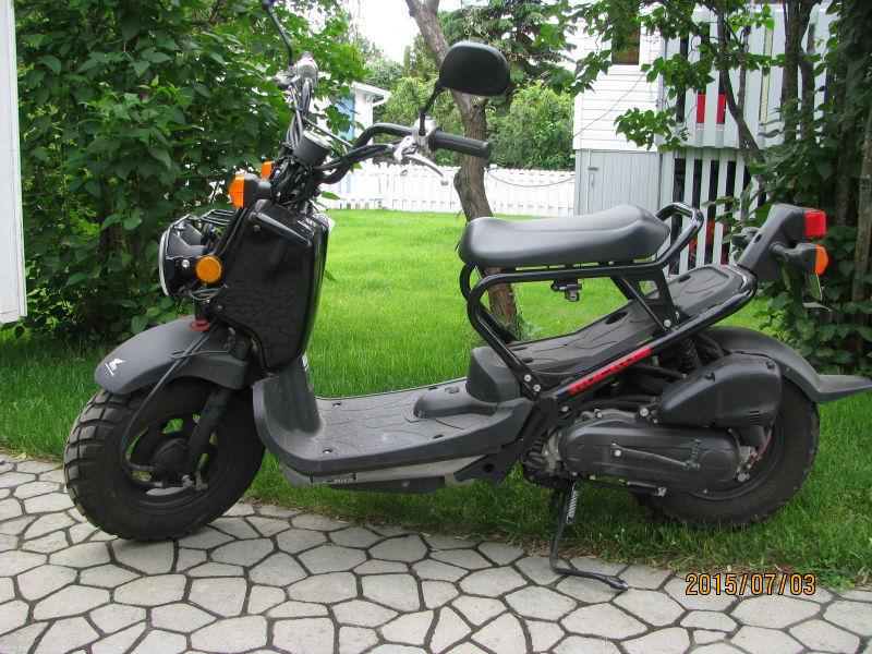 Scooter Honda Ruckus