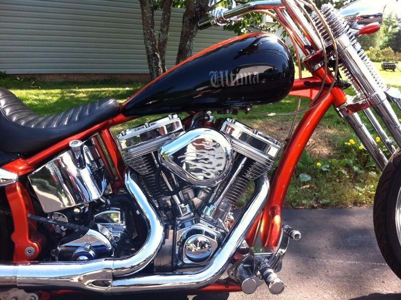 2010 Custom Made Harley Davidson Softail