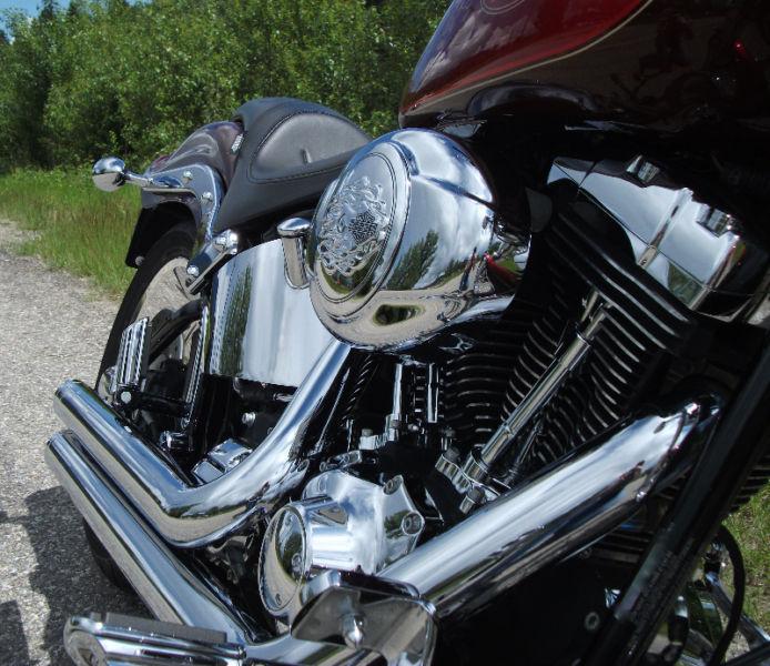Fxstc Harley Davidson