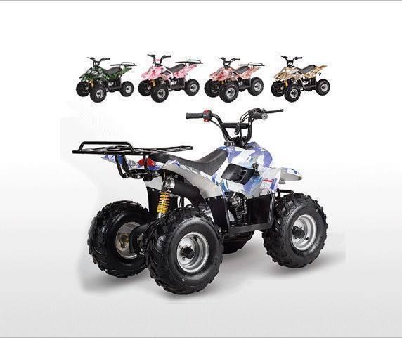 ATV's from 110cc - 800cc/sizes for all riders at ATV Spruce Grov