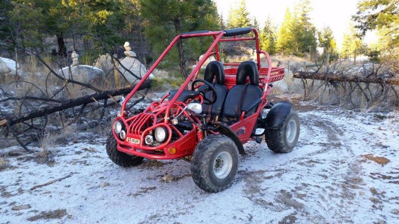 Carter Talon 150cc Buggy