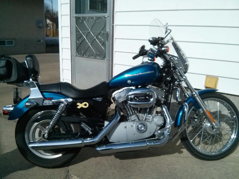 2006 Harley Davidson Sportster Custom XL883C