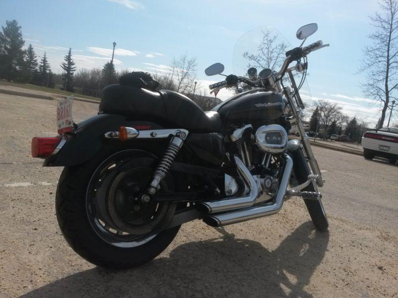 07 Harley Davidson 1200 Custom Sportster