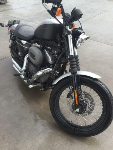 Clean 2009 Nightster 1200 **low km's**