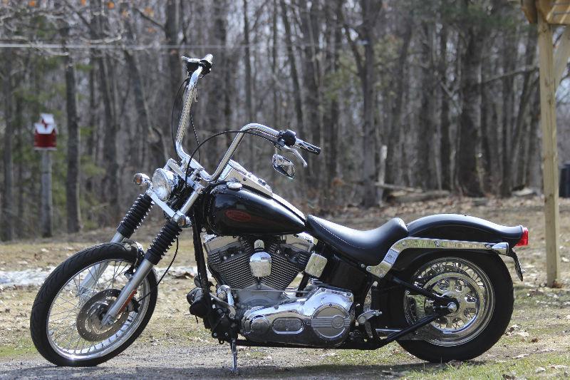 2002 Harley Davidson softail for sale or trade