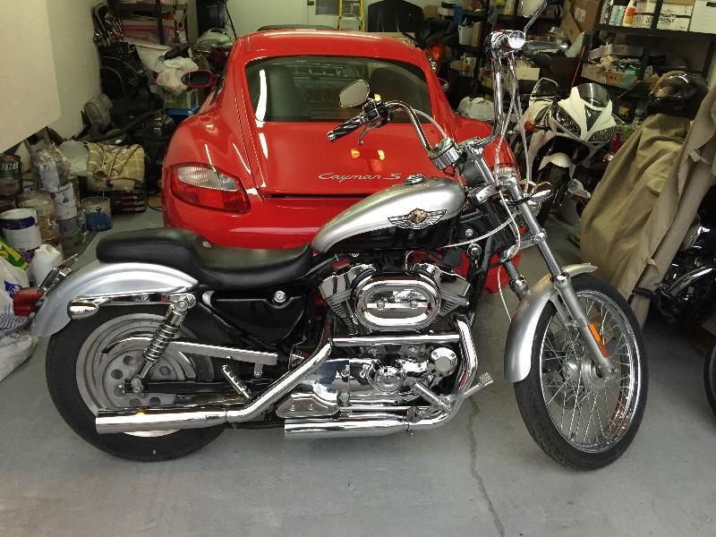 2003 Harley Davidson 883 100 anniversary' ed fully chromed'