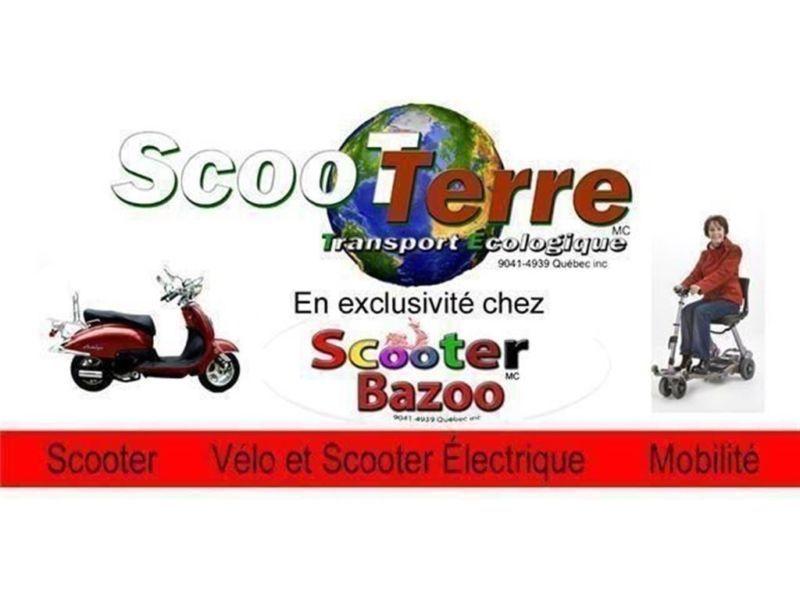 2014 Scootterre Fox