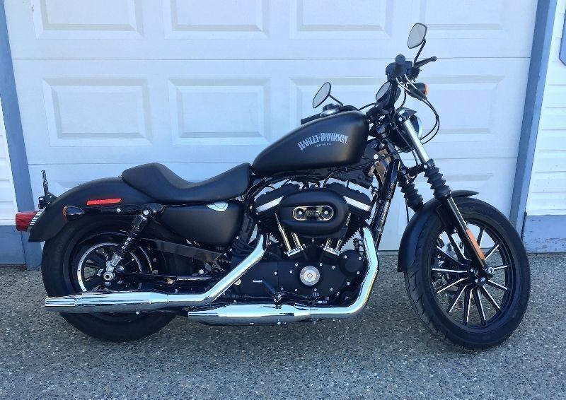 2015 Harley 883 Brand new $9,999 obo