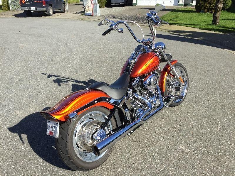 Harley Davidson Custom Softail - FXSTC