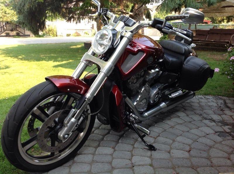 2009 VROD Muscle