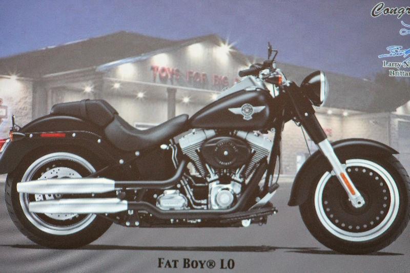 Harley Davidson Fat Boy Low