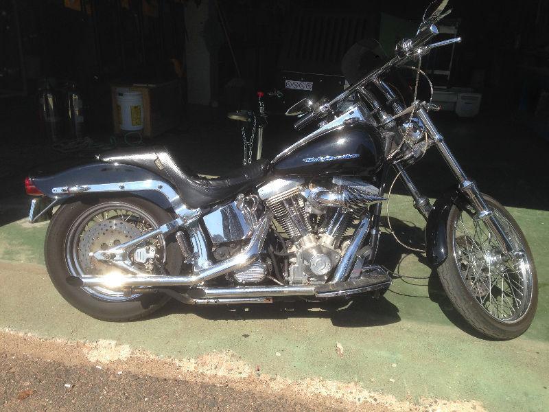 Harley Custom Softtail