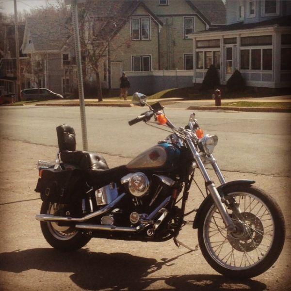 1992 Softail Custom Extra Clean