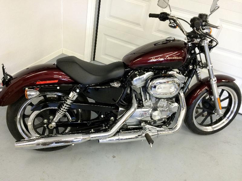 2014 SPORTSTER 883 - ONLY 14 MILES