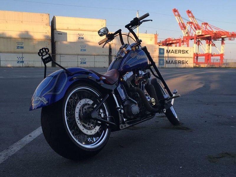Custom Harley Softail professionally hand built