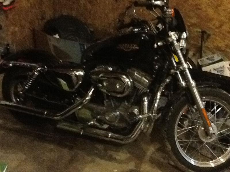 Harley sportster