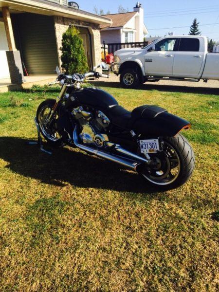 2010 v rod muscle , low kms