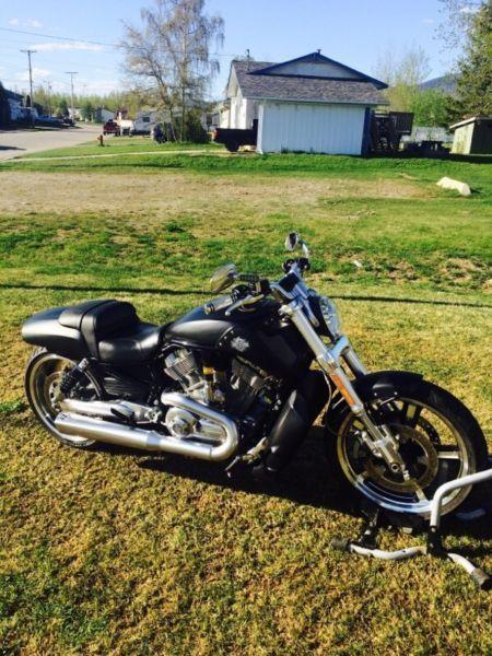 2010 v rod muscle , low kms