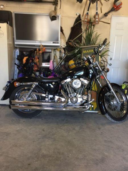 2000 Harley sportster 1200 custom trade for jeep or sell