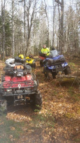 Wanted: 99 honda forman 450 es