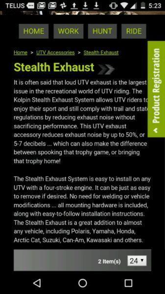 Stealth exhaust system and heat shield