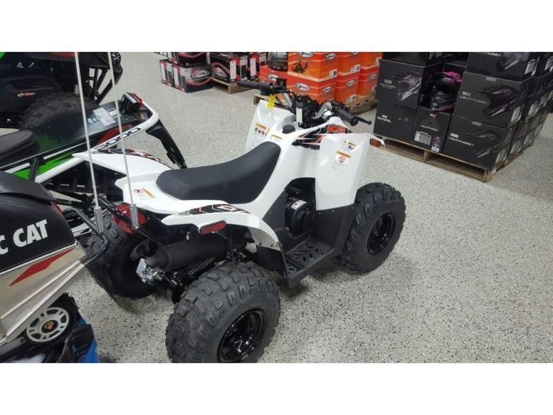 2016 Arctic Cat DVX90