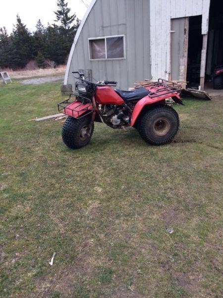 Selling a 1985 250 big red