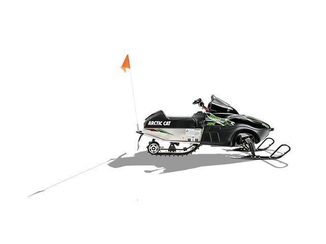 2015 Arctic Cat Z120 Youth Snowmobile