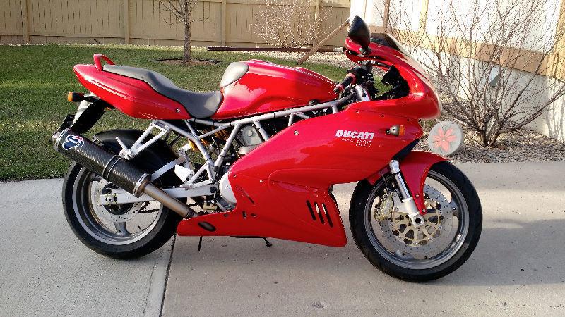 Immaculate supersport 800 desmo