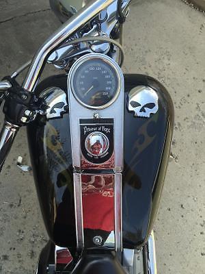1999 Harley Davidson Softail