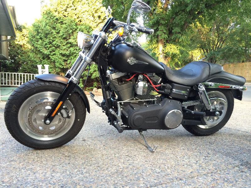 2010 Harley Davidson Fat Bob