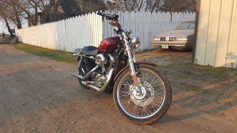 For sale a Harley-Davidson Sportster Custom 1200cc. Dressed in l