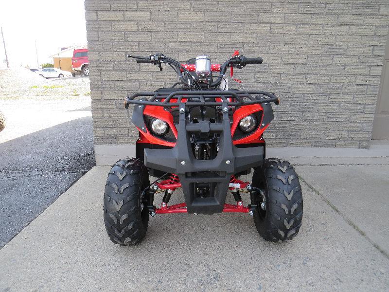 SPECIAL 2016 125cc Bushwhacker Youth kids ATV quad for sale