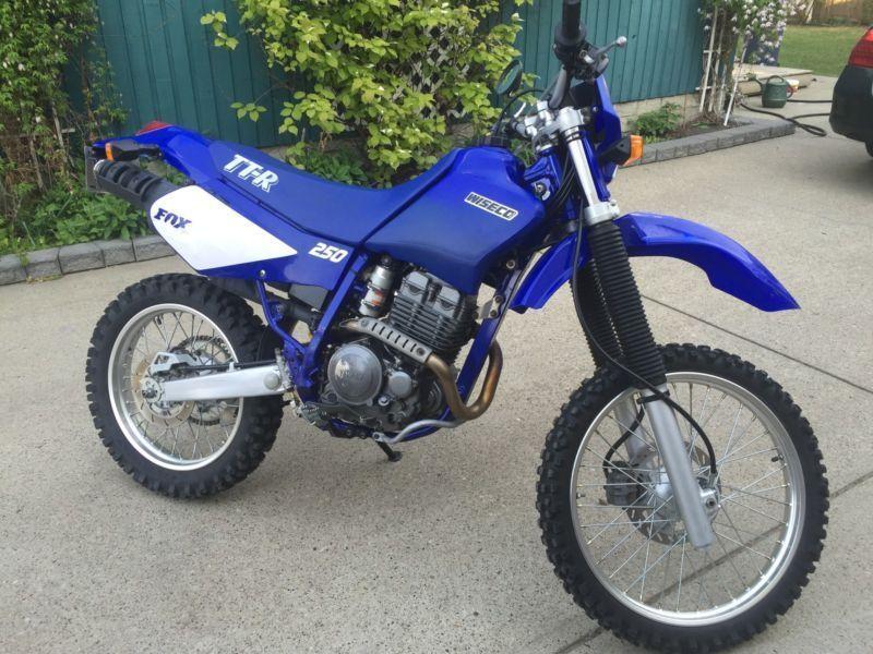 1999 Yamaha TTR 250