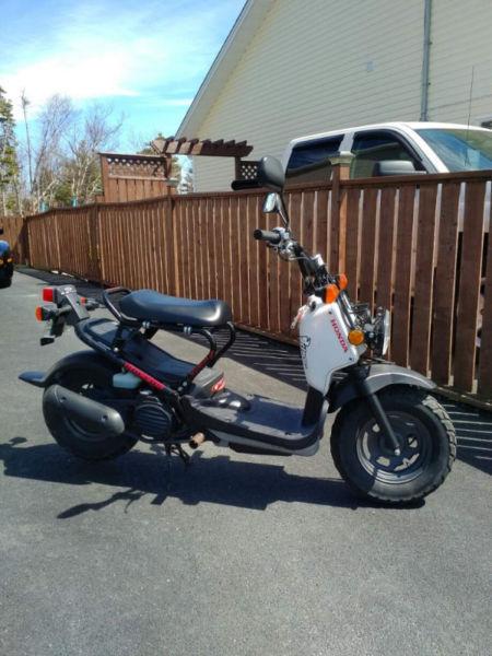 Honda Ruckus- 50cc, offroad/street legal scooter