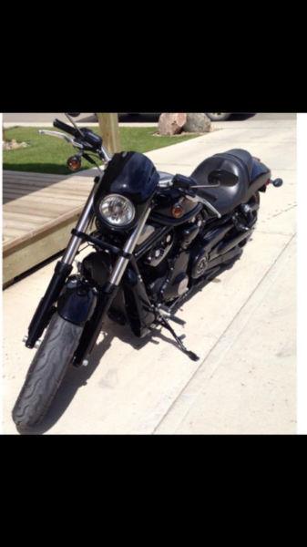 2009 HD VROD Night Rod Special - Amazing Condition!!