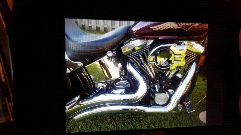 Harley Davidson Custom Softail