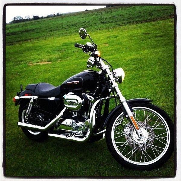 2009 Harley Davidson 1200 custom