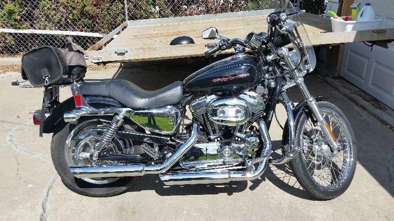 2004 custom sportster